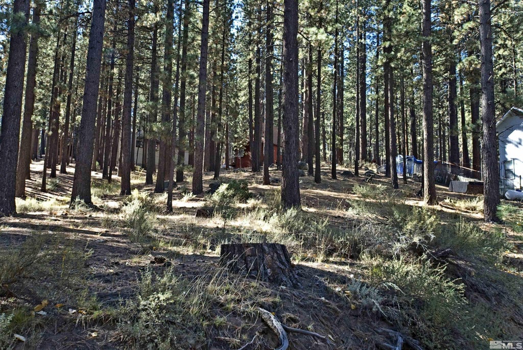 66 Pleasant Valley Road, Markleeville