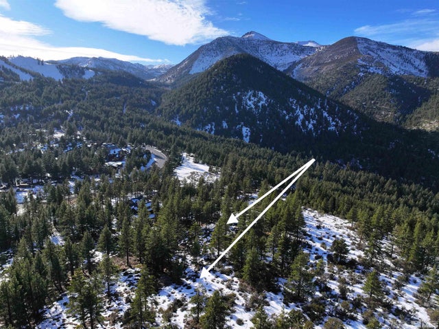 123 Mountain Haven Lane, Reno