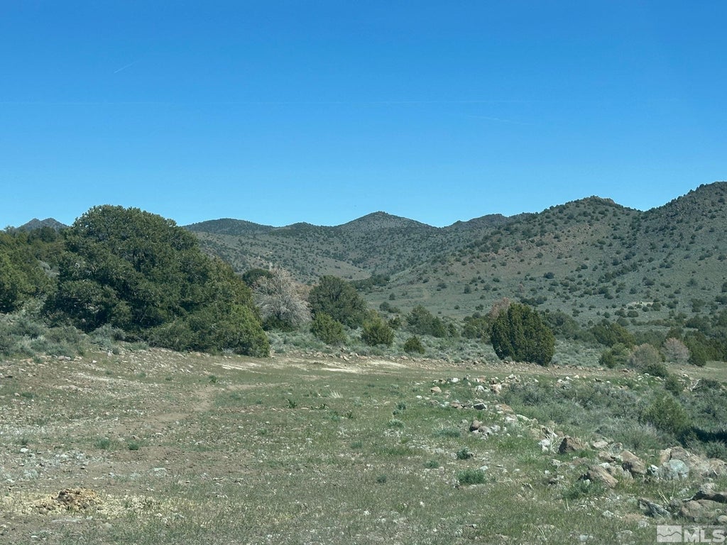 4490 Lousetown Road, Reno