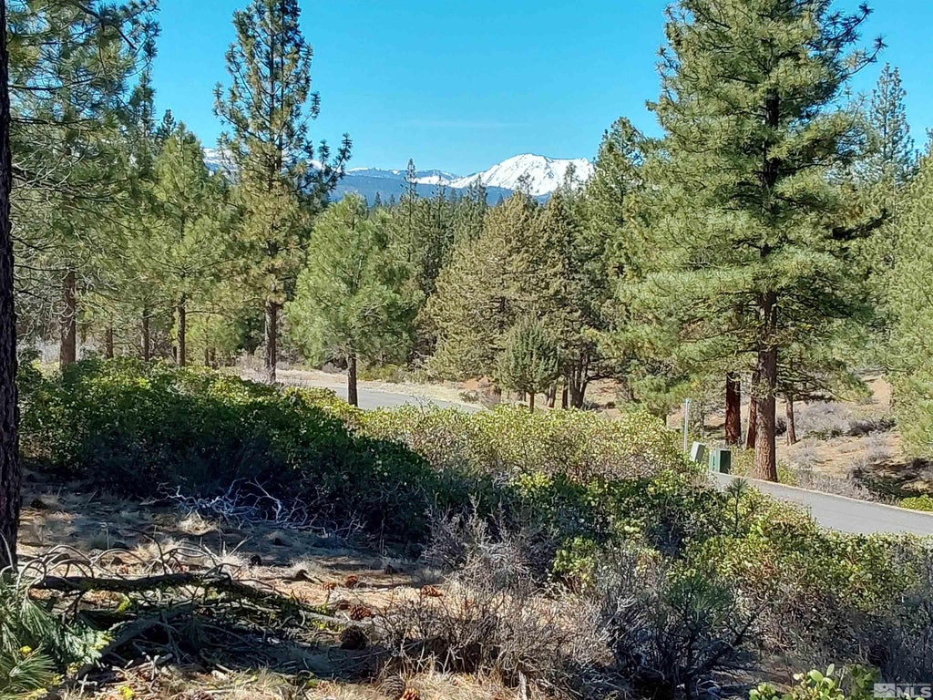 5028 Harvest Moon, Other