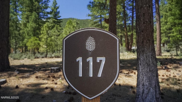 46 Boulders Bend Drive 117, Carson City