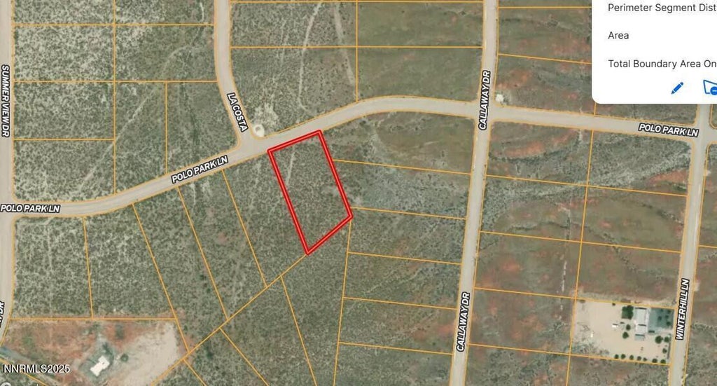 11040 Polo Park Lane, Lovelock