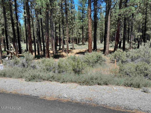 202 Village Trail 36, Portola