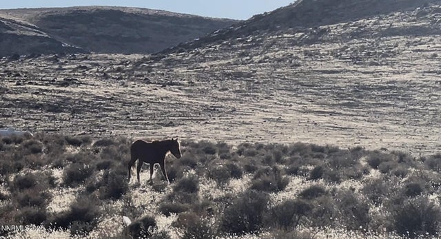 9325 Western Way, Stagecoach