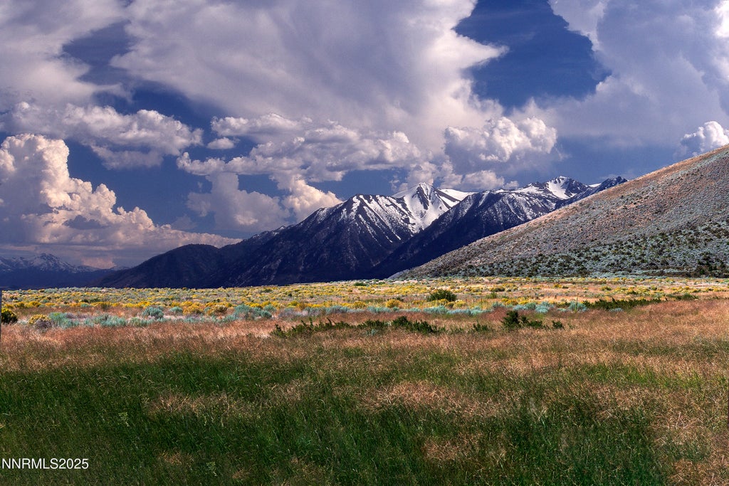 315 James Canyon Loop, Genoa