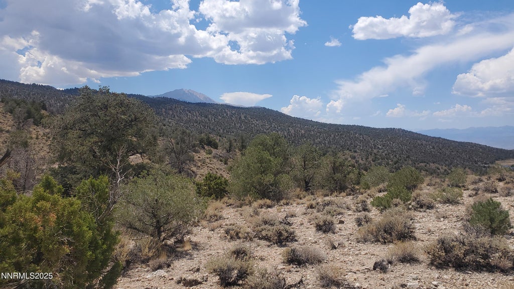 T5n R28e S5 Lucky Boy Pass Road, Hawthorne