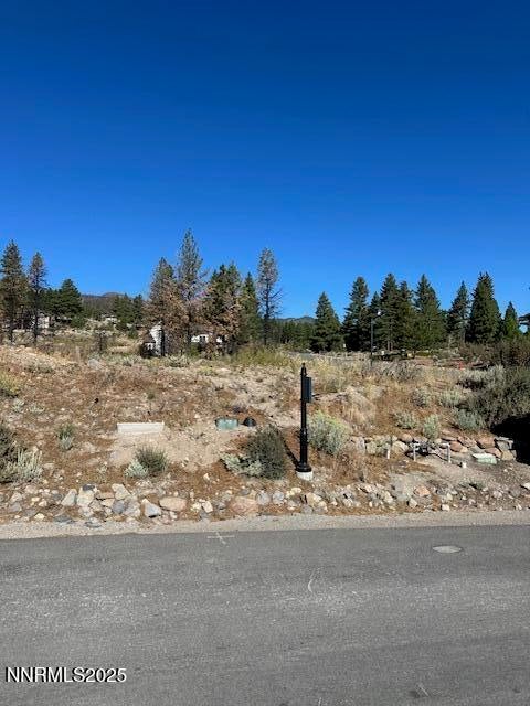 605 Sand Cherry Court, Reno