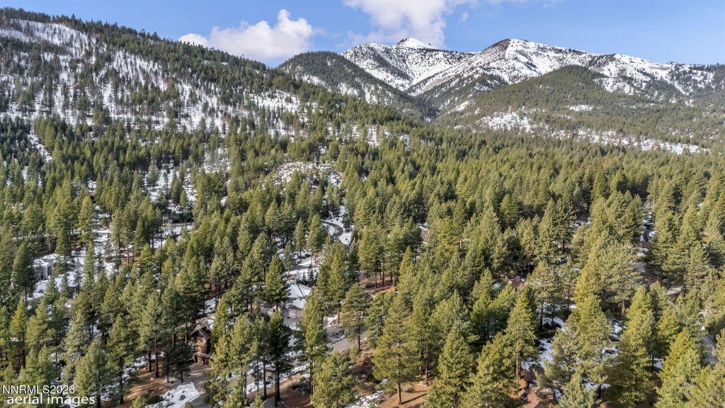 307 E Jeffrey Pine Road, Reno