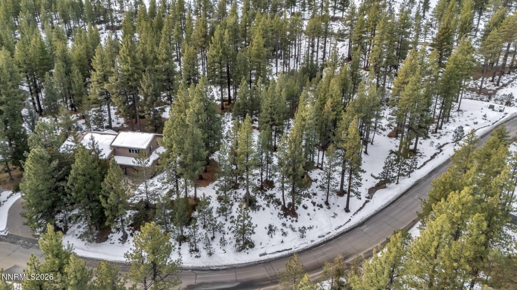 1205 Douglas Fir Drive, Reno