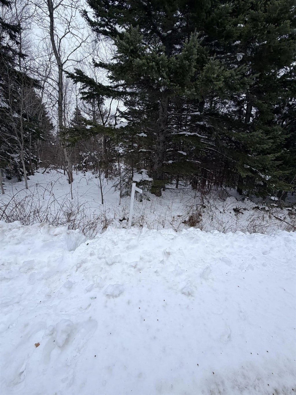 Spanish River Court, Sydney Forks