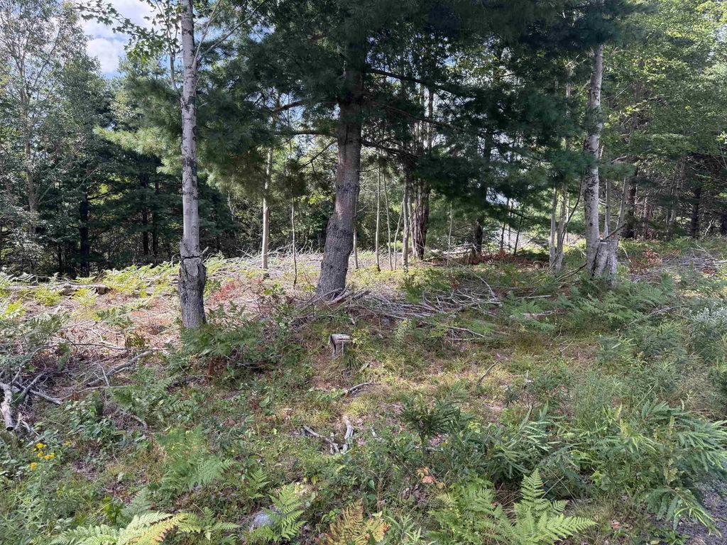 Lot 109 East Clifford Road, East Clifford