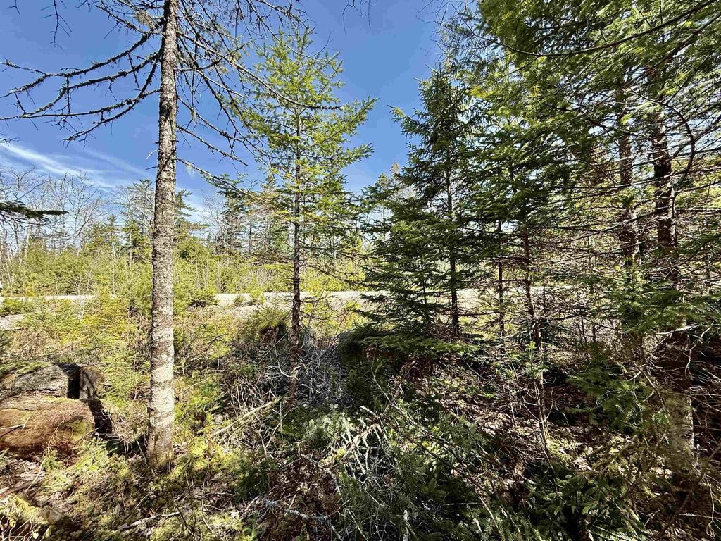 Lot 32 Dynasty Court, Sherwood