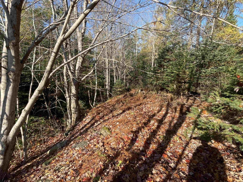 Mosher Road, Conrod Settlement