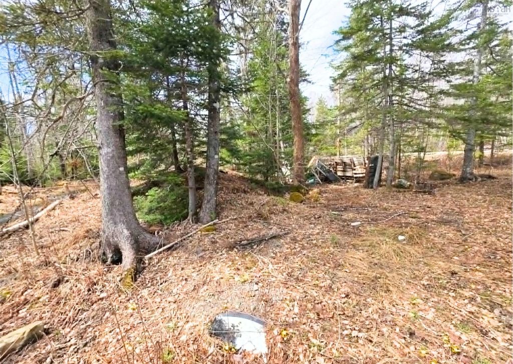 Upper Leitches Creek Road, Cape Breton