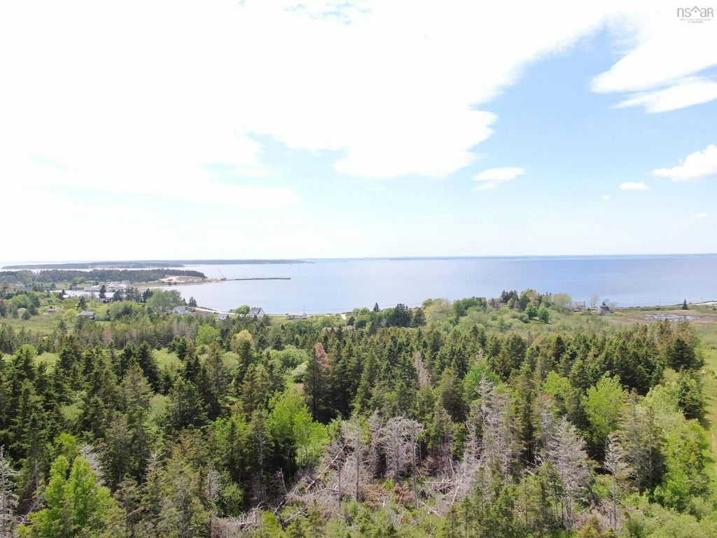 23 Acres Highway 329, Blandford