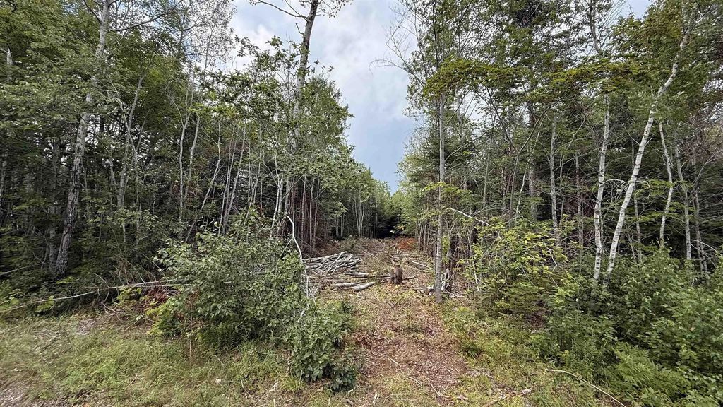 Lot S-2 Miner Meadow Road, Sunken Lake