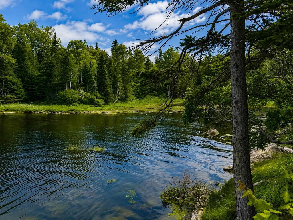 Lot 4 Highway 104, Aulds Cove