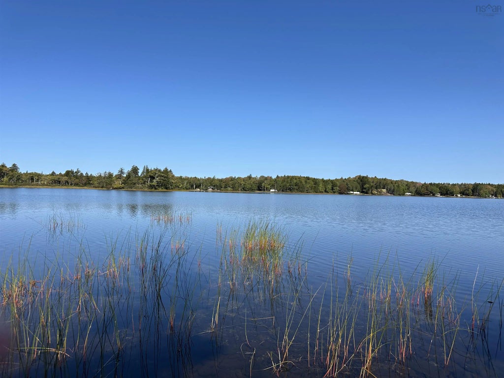 Highway 101, Grosses Coques