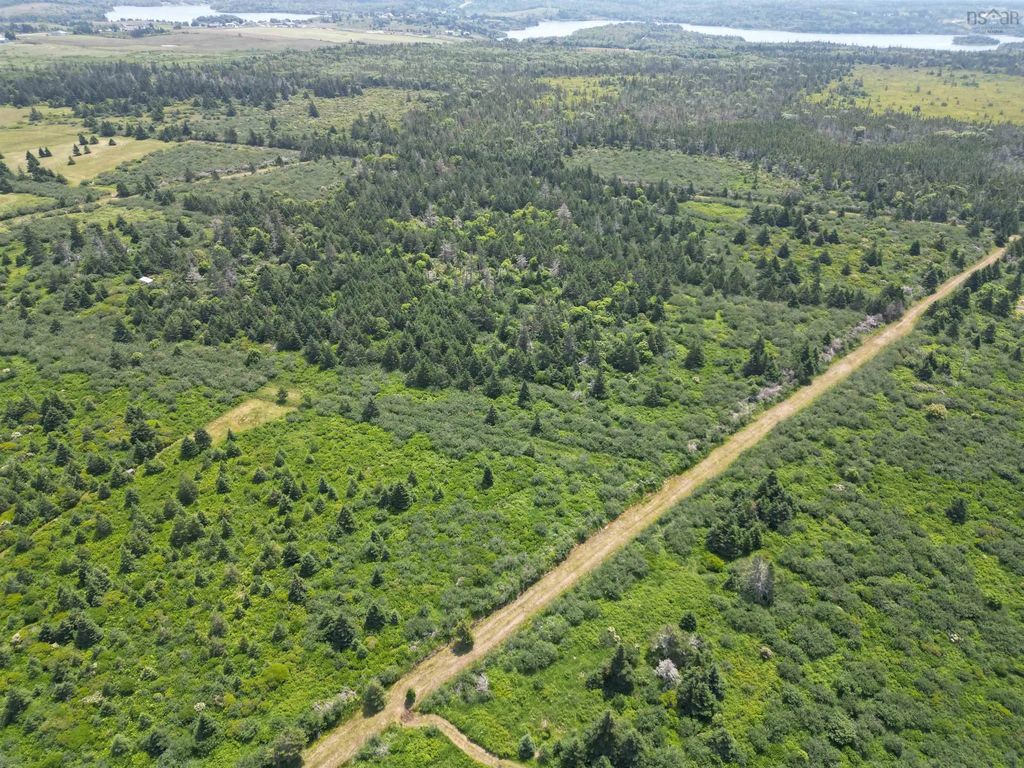 Lots, Quaco Road, Port Maitland