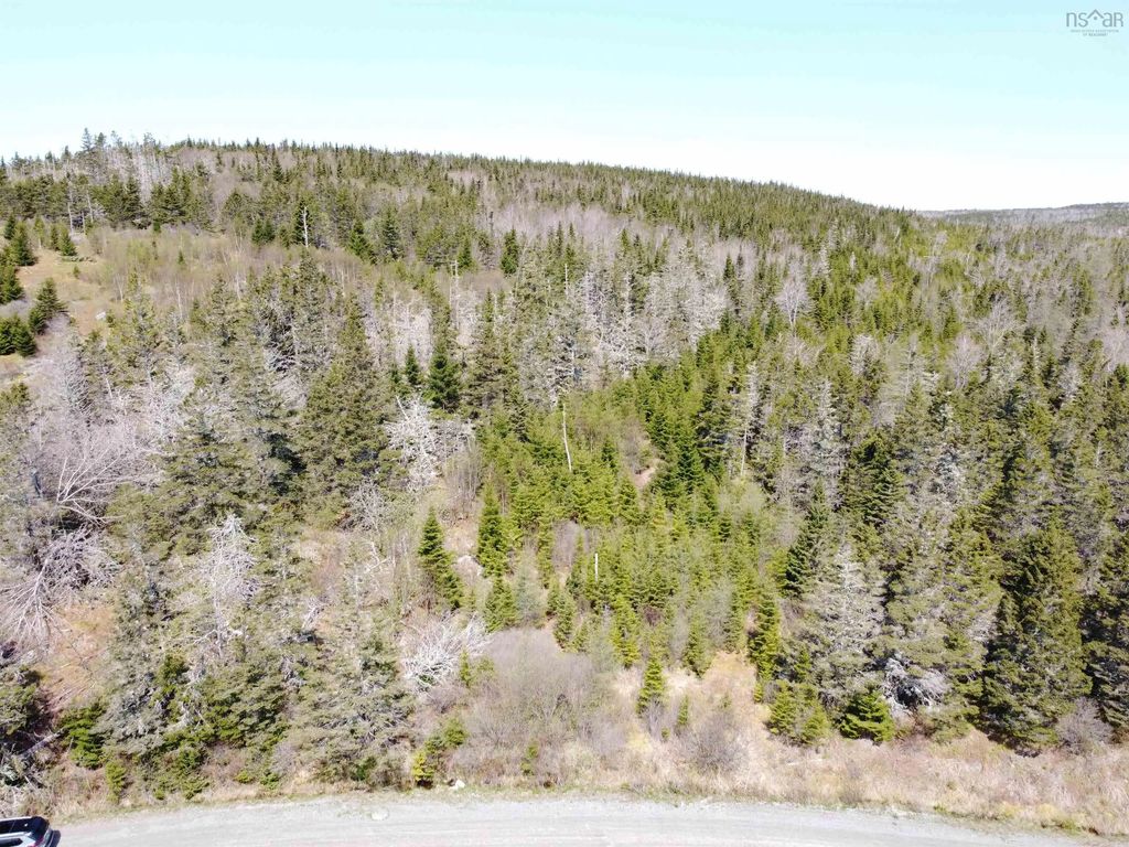 Cemetery Road, Spry Harbour