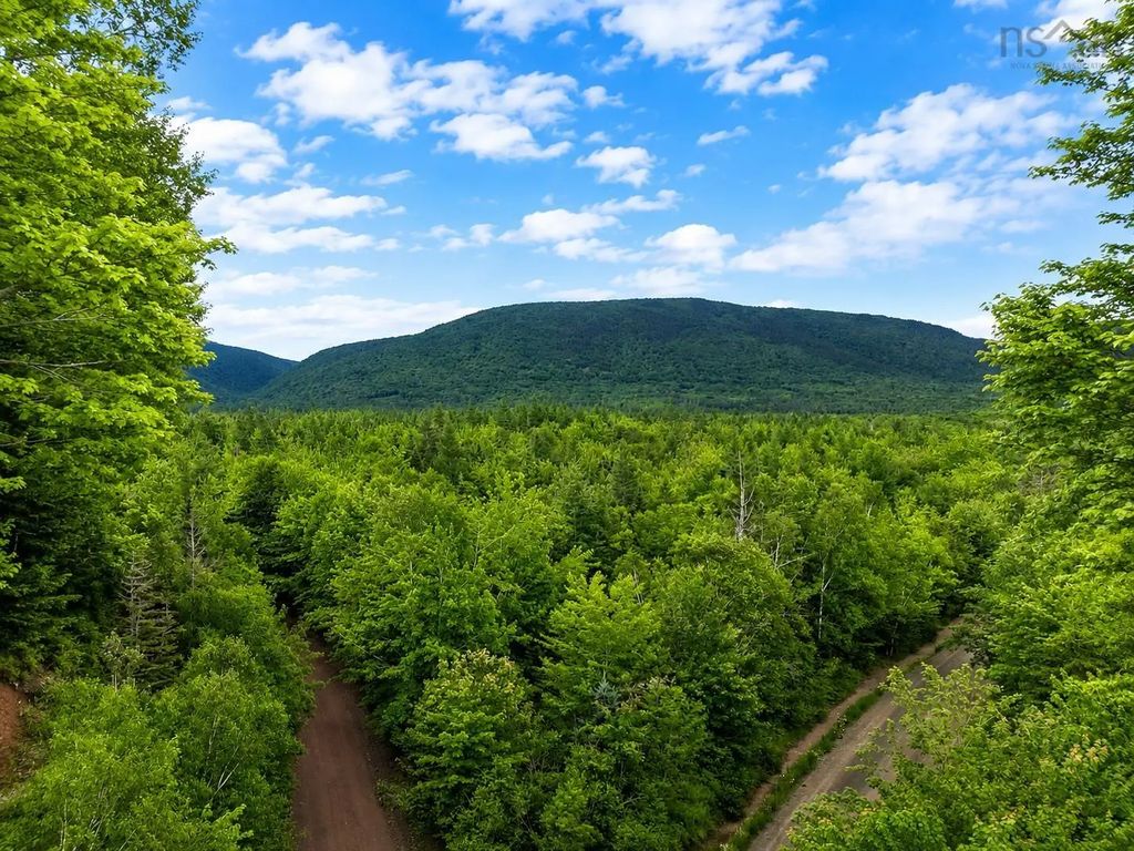 Mt.pleasant Big Brook Rd., North East Margaree