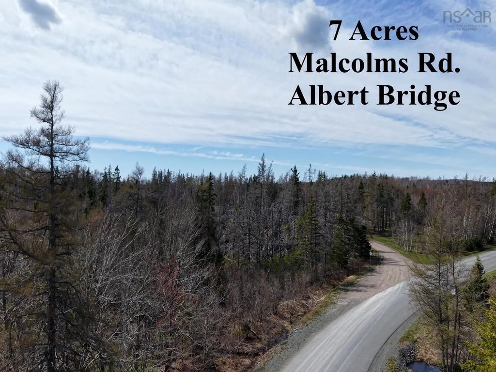Malcolms Road, Albert Bridge