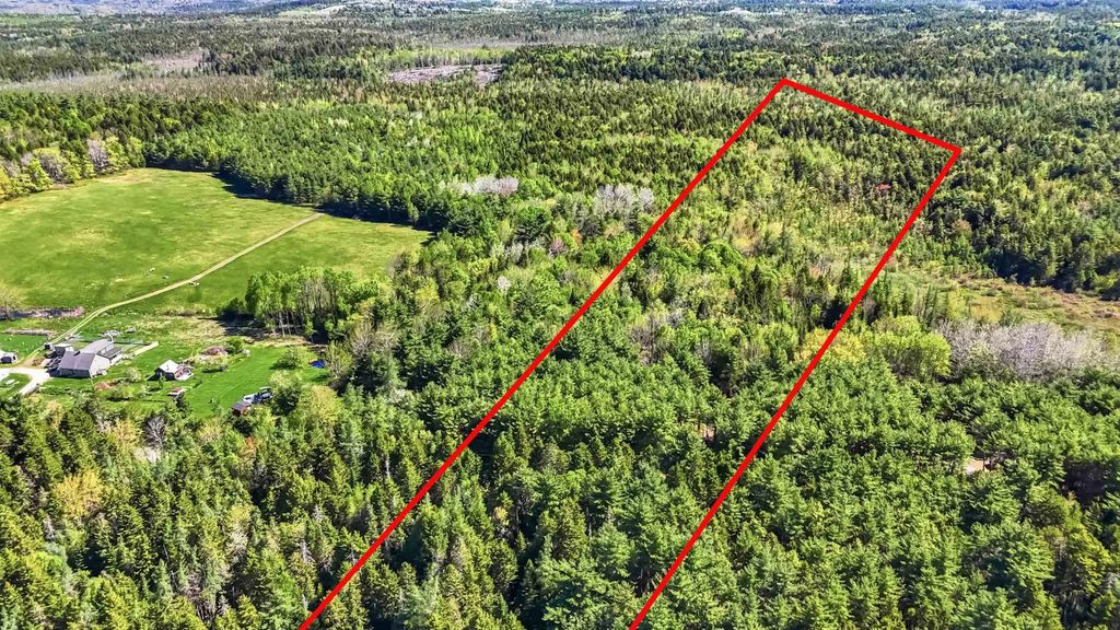 Lot 1-23 Hirtle Road, Maitland