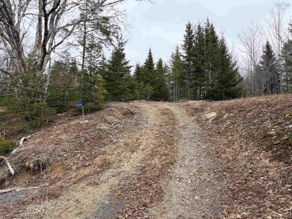 Lot 22-3 226 Brookville Branch Road, Bridgeville