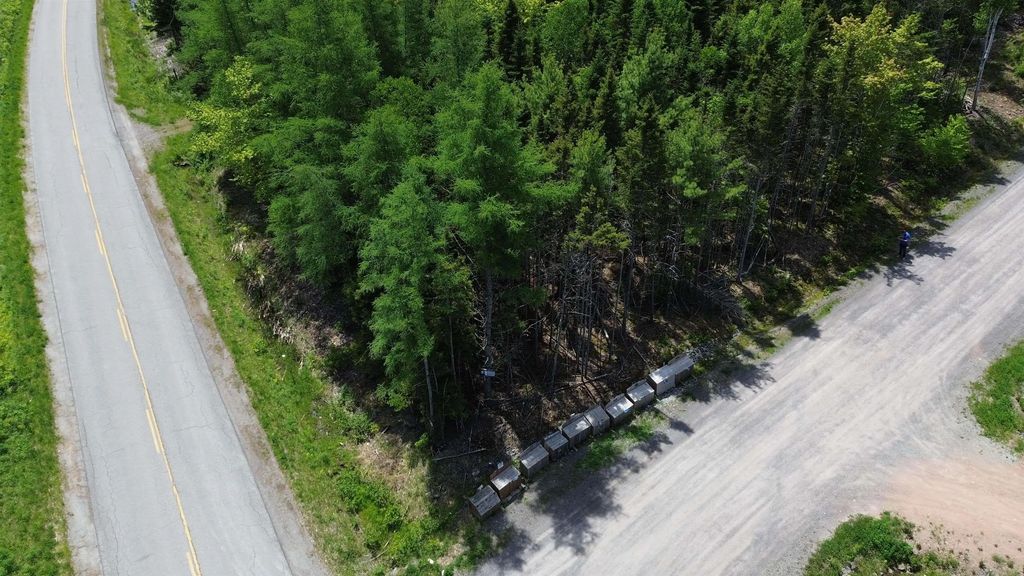 Lot 23 Lower River Road, Grantville, Grantville