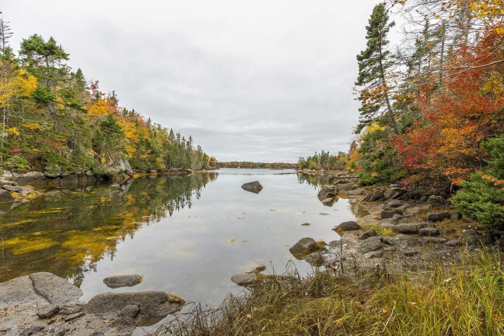 Scott's Point Road, East Dover