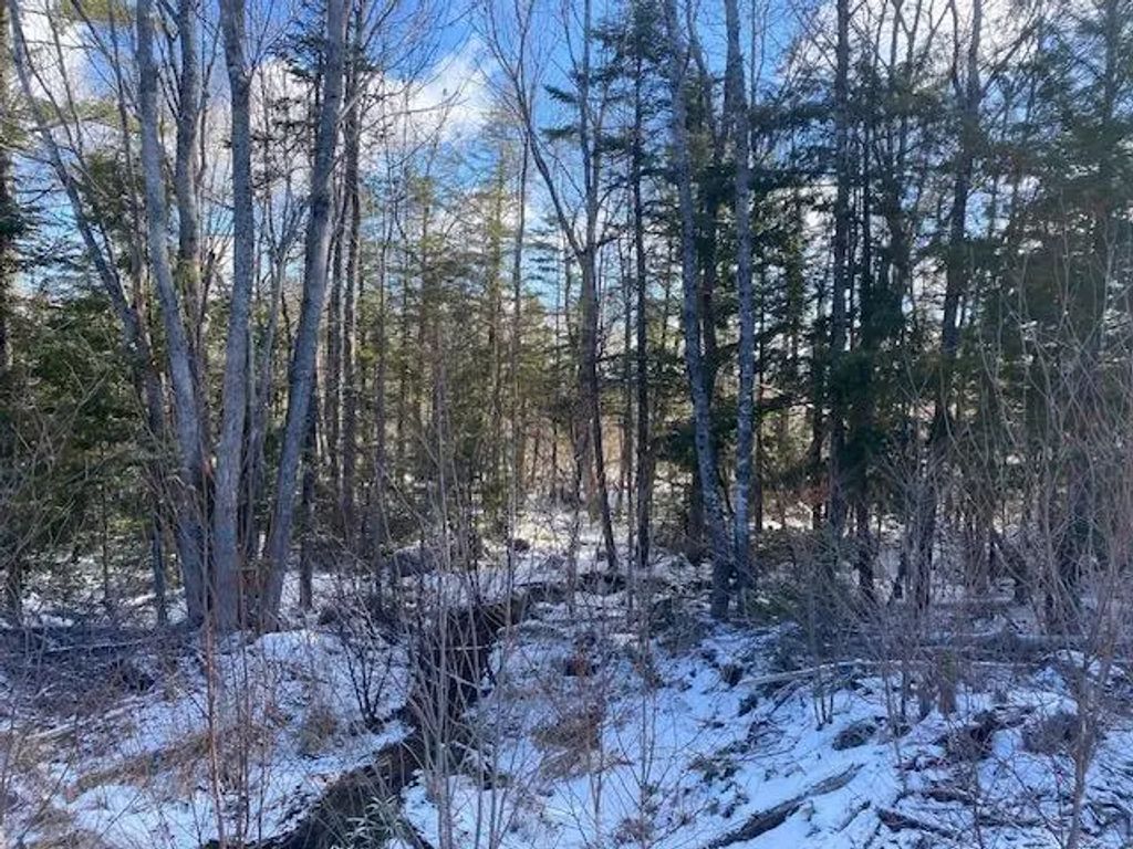 Pid: 60446457 Newburne Road, Newburne