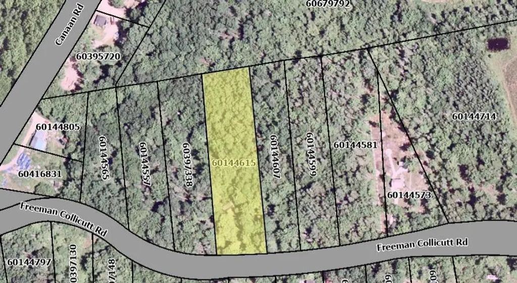 41 Freeman Collicutt Road, Canaan