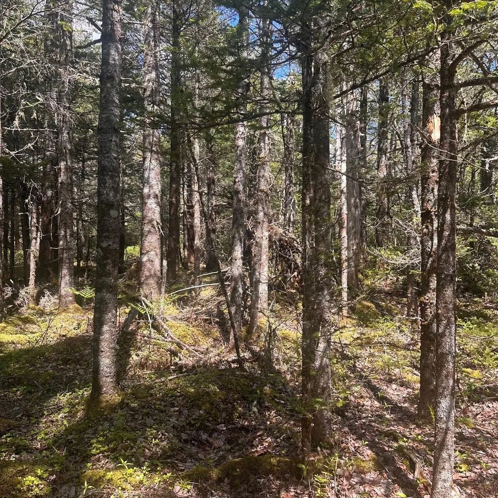 Lot 16 Somerset Drive, East Sable River
