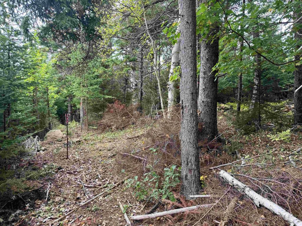24-2 Forest Drive Extension, Pictou