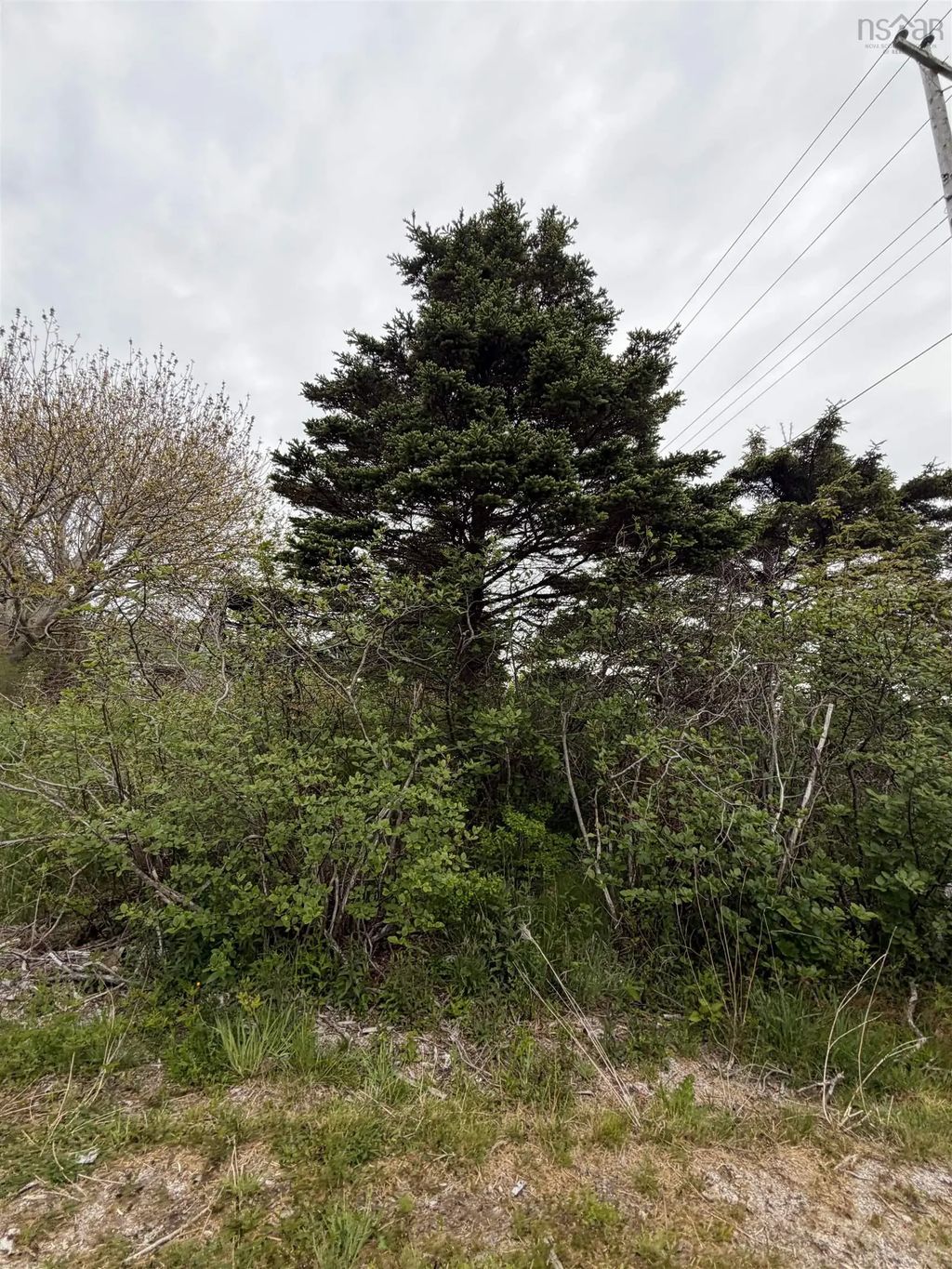 3661 Highway 217, East Ferry
