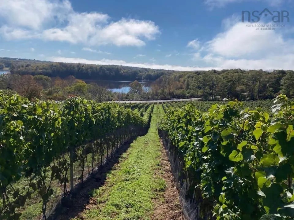 4113 Highway 340, Carleton