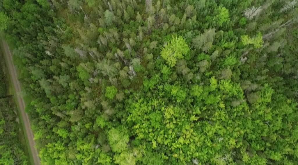 41a Widow Point Loop, Inverness