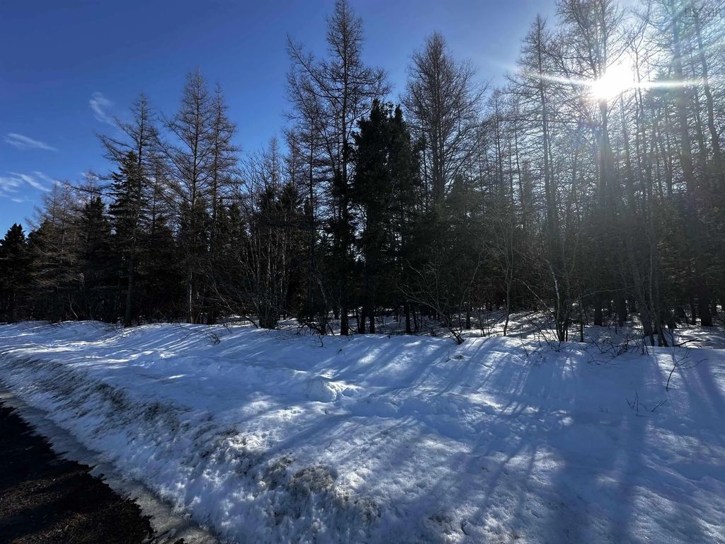 Whycocomagh-port Hood Road, Southwest Mabou