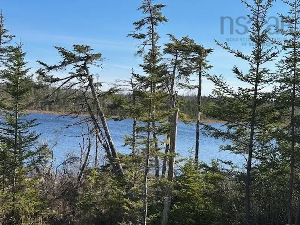 Salmon River, Salmon River