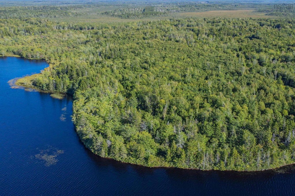 Ruel Du Lac Gaspereau, Mayflower