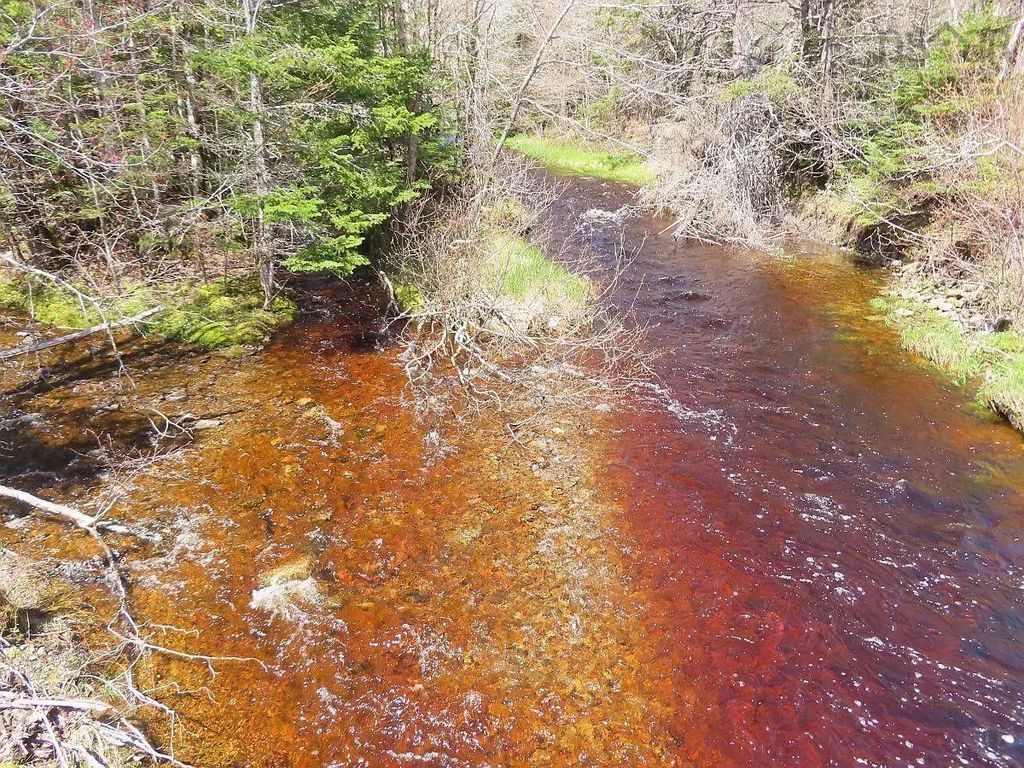128.5 Acres West Side Road, West Side Country Harbour