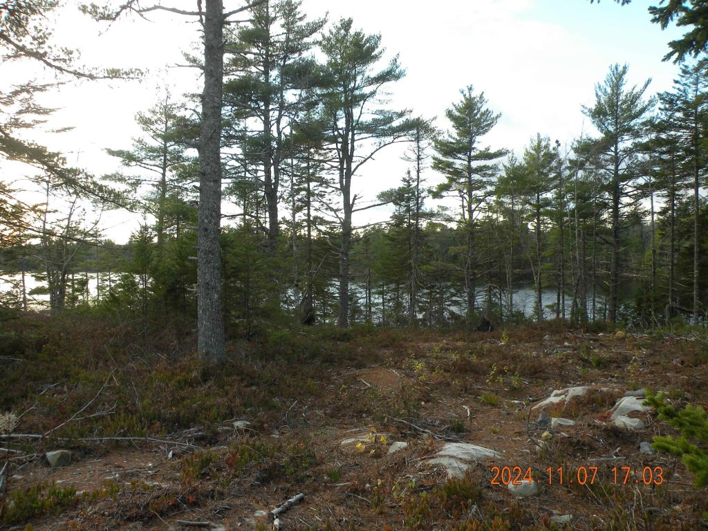 74 Meek Arm Trail, East Hants