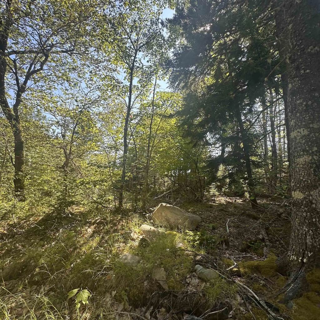 Lot (pid 70241864) Wellington Road, Buckfield