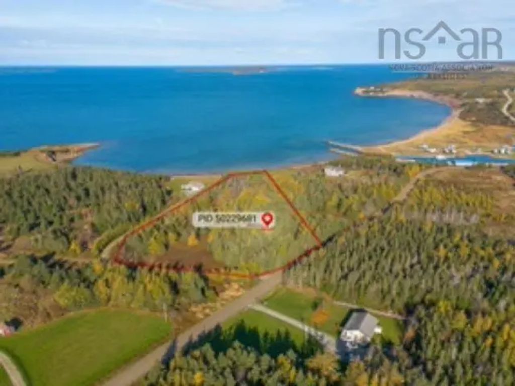 Lower Shore Road, Little Judique
