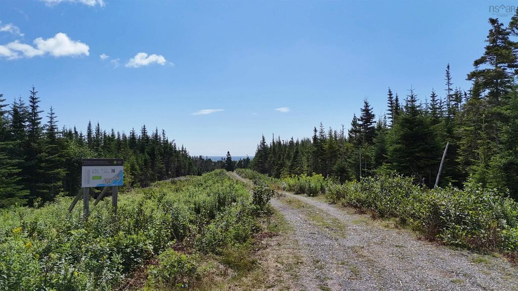 Lot 8 East Side Grand River Road, Grand River