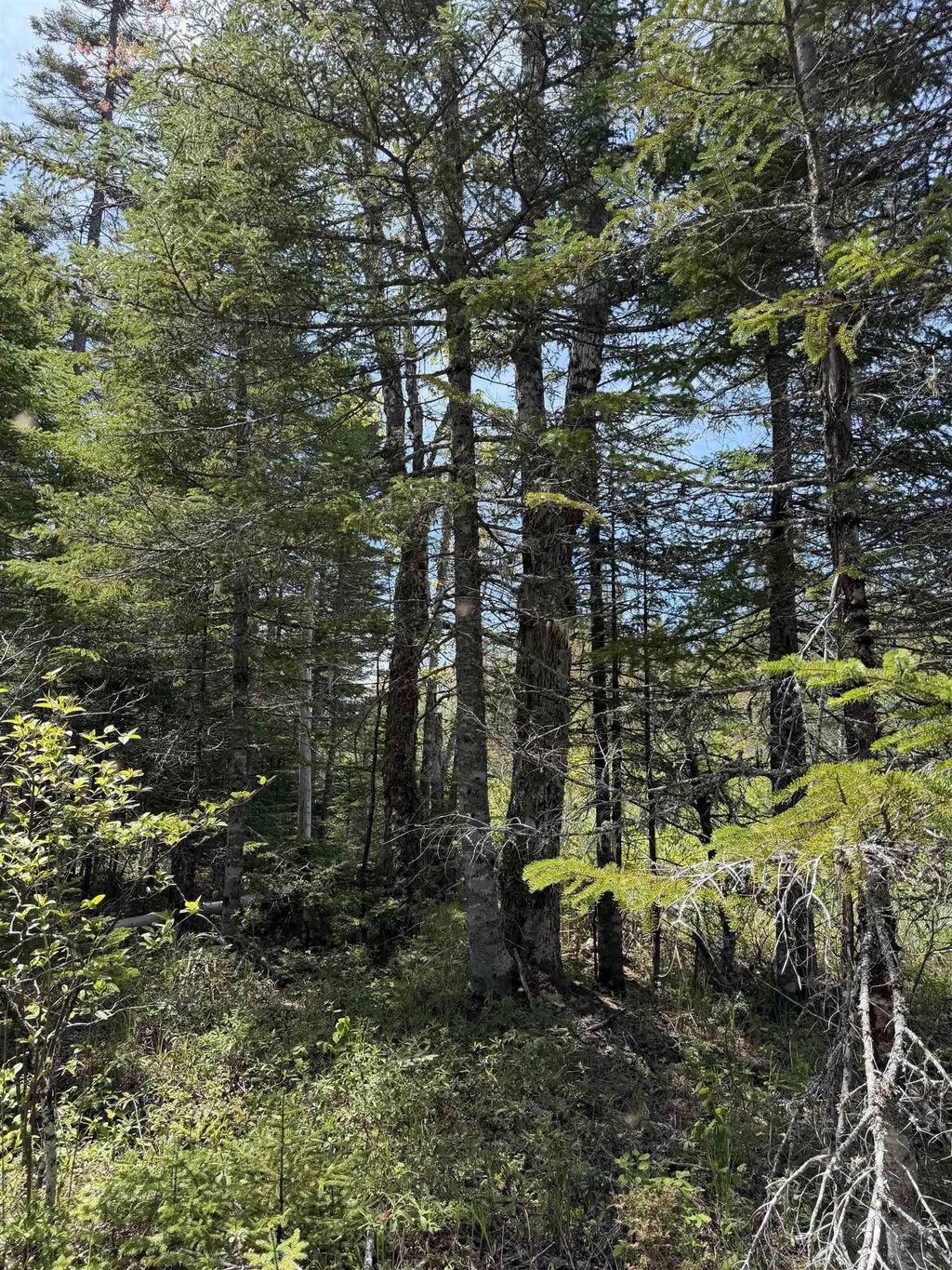 Lot Cl4 Palmer Road, West Wentworth