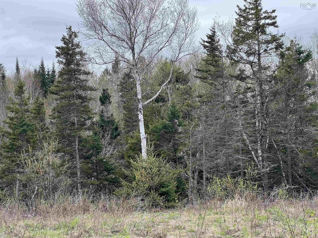 Lot Rjg-1 Long Beach Road, West Glenmont