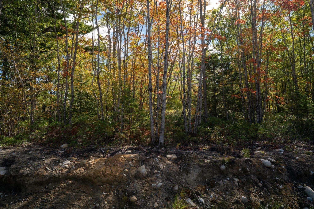 88 Morton Drive, Liverpool