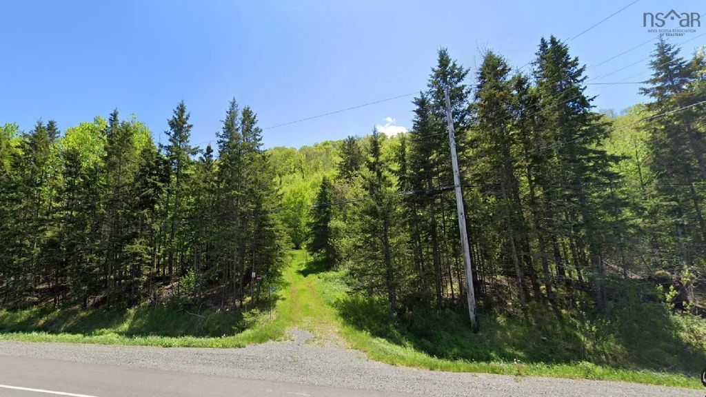 14266 4 Highway, Marshy Hope