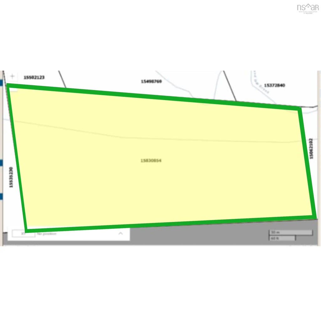 Bridget (p) Lane, Birch Grove